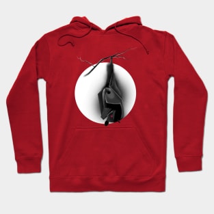 Enchanted Bat Hoodie